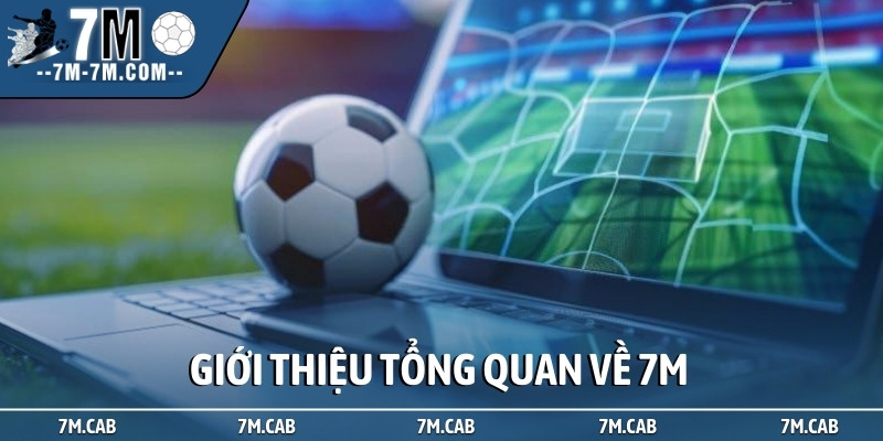 Giới thiệu tổng quan về 7M